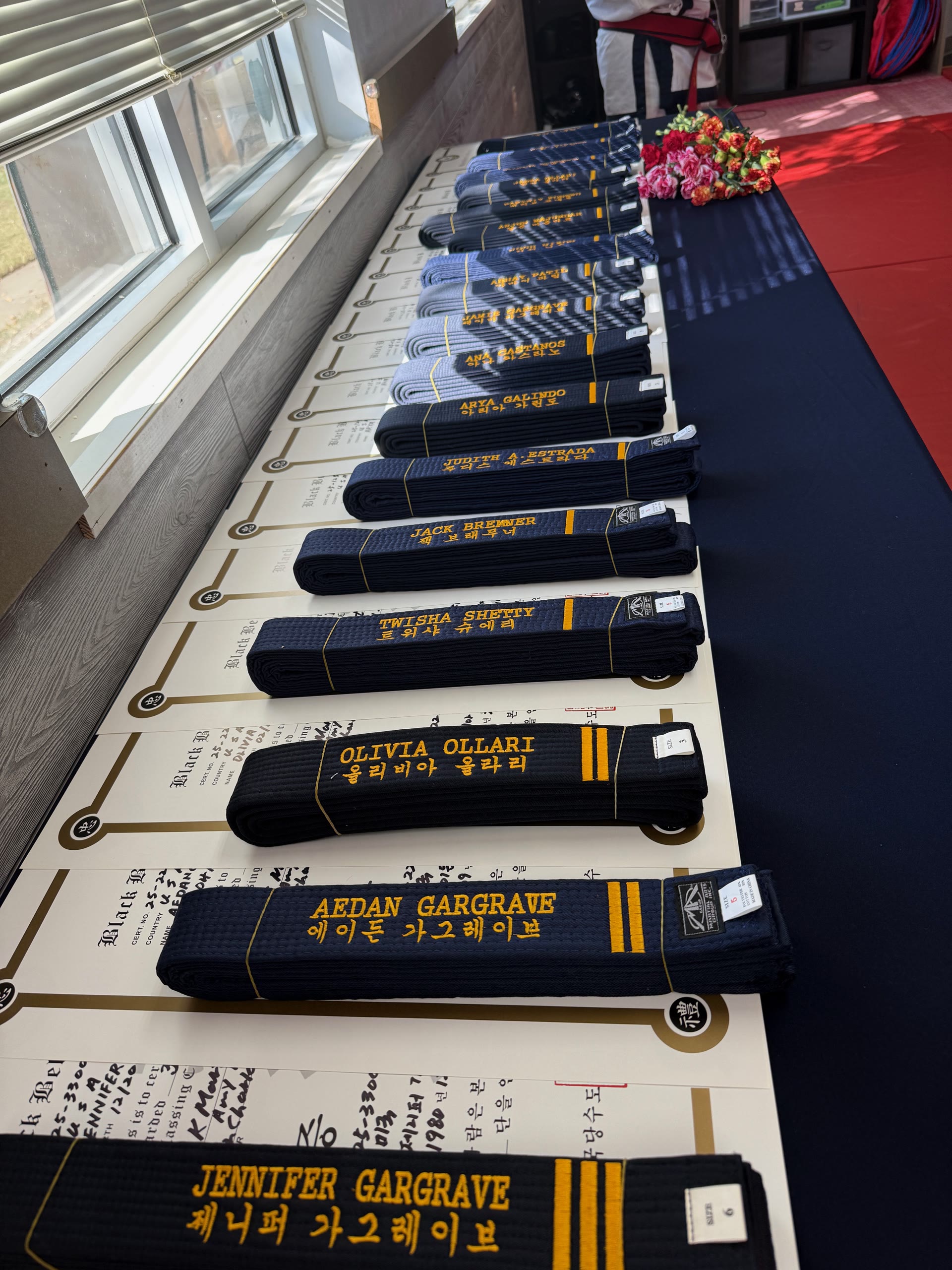 Martial arts rank belts